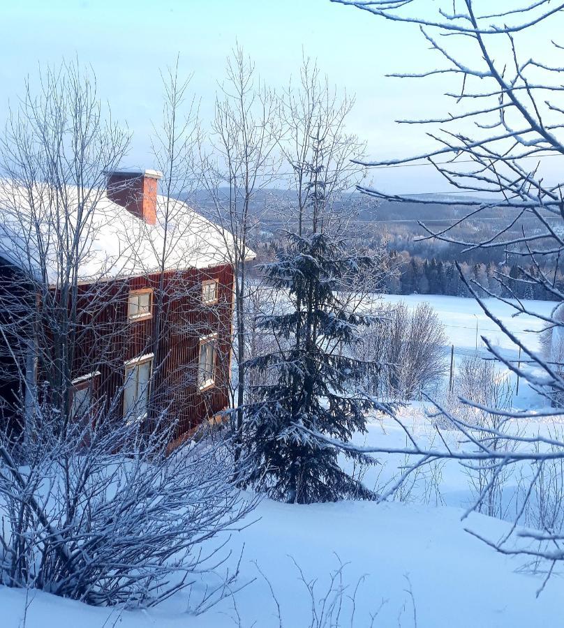 Cozy Stuga - Mountain View Ramsele Extérieur photo