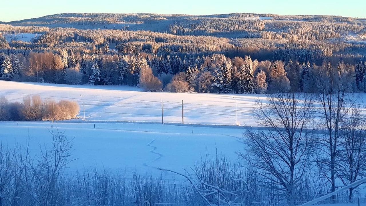 Cozy Stuga - Mountain View Ramsele Extérieur photo